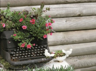 garden-ideas-to-im-yourself-make-flower-planting-old-typewriter